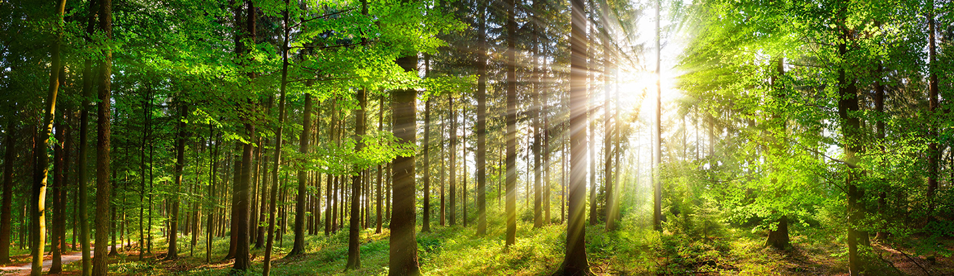 GGRF takeaways - Components and Collaboration